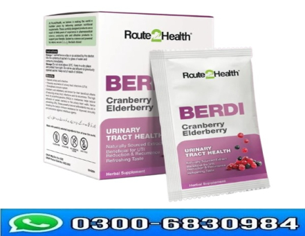 Route2Health Berdi 10 Sachets in Pakistan