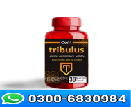 Cosvt Tribulus 30ct price in pakistan