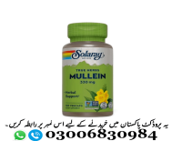 Solaray Mullein 330mg 100 VegCaps in Pakistan